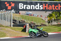 Middle 1 Group Green Bikes